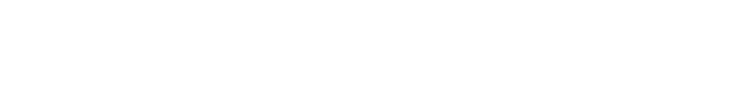 Skechers Company Logo